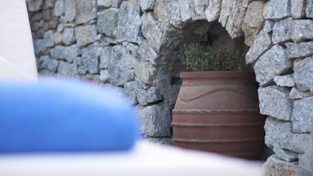 ディオニュソス ホテル オルノス エクステリア 写真